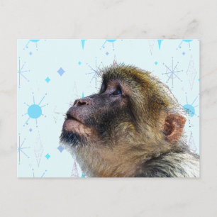 Carte Postale Le singe regarde le papier peint du milieu du sièc