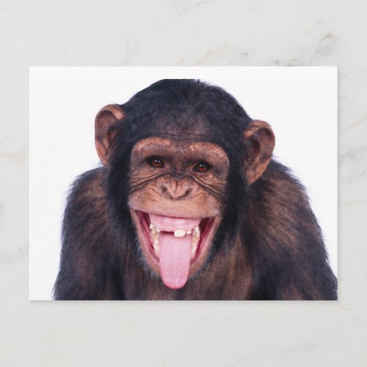 Carte Postale Le singe riant (Devant)