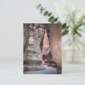 Carte Postale Le Siq (Debout devant)