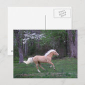 Carte Postale Le soin libèrent (Devant / Derrière)