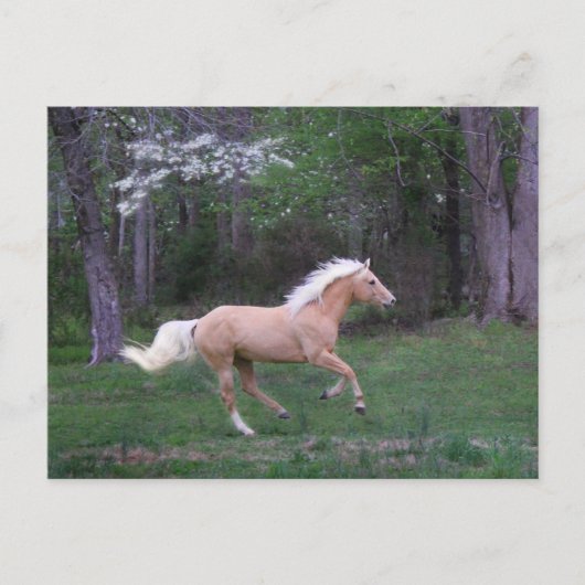 Carte Postale Le soin libèrent (Devant)