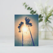Carte Postale Le soleil brille (Debout devant)
