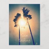 Carte Postale Le soleil brille (Devant)