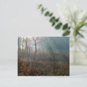 Carte Postale le soleil de matin @ les marécages (Debout devant)