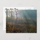 Carte Postale le soleil de matin @ les marécages (Devant / Derrière)