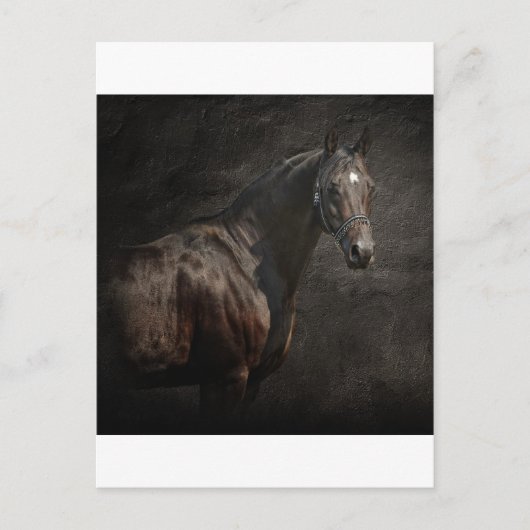 Carte Postale Le solitaire (Devant)