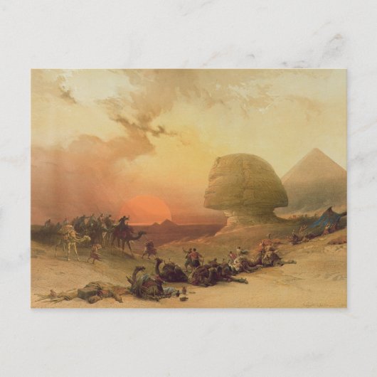 Carte Postale Le Sphinx à Giza (Devant)