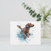 Carte Postale Le sport nautique irlandais (Debout devant)