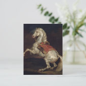 Carte Postale Le Stallion de Napoléon, Tamerlan (Debout devant)