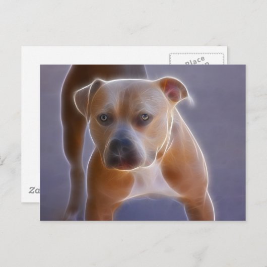 Carte Postale Le statu quo (Devant / Derrière)