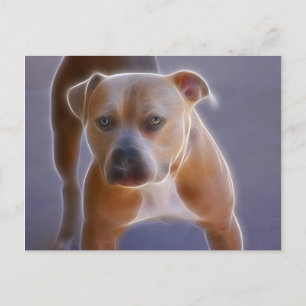 Carte Postale Le statu quo