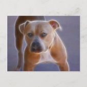 Carte Postale Le statu quo (Devant)