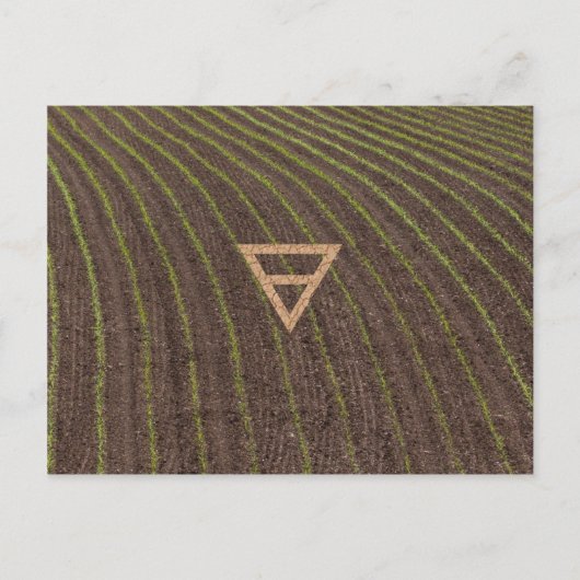 Carte Postale Le symbole de la Terre de l'élément (Devant)