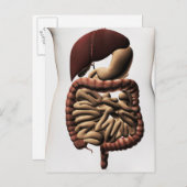 Carte Postale Le système digestif humain 5 (Devant / Derrière)
