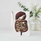 Carte Postale Le système digestif humain 5 (Debout devant)