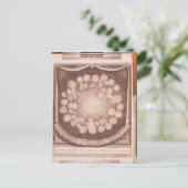 Carte Postale Le système solaire (Debout devant)