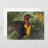 Carte Postale Le Talegalla par Joseph Wolf (Devant / Derrière)