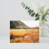 Carte Postale Le Tarn (Debout devant)