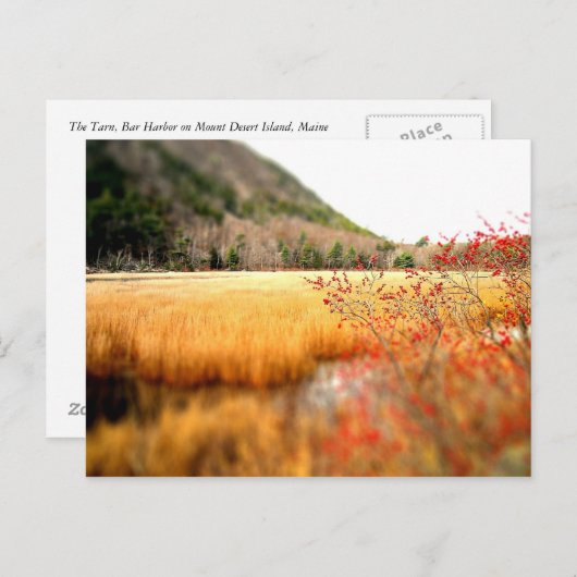 Carte Postale Le Tarn (Devant / Derrière)