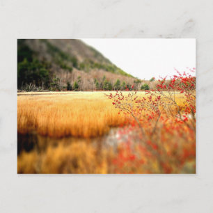 Carte Postale Le Tarn