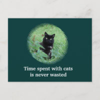 Carte postale : Le temps passé avec les chats n'es