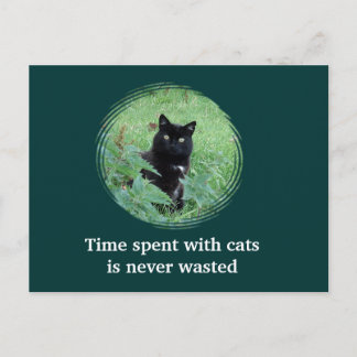Carte postale : Le temps passé avec les chats n'es