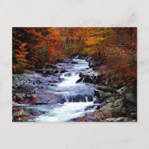 Carte Postale Le Tennessee, le parc national Smoky