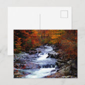 Carte Postale Le Tennessee, le parc national Smoky (Devant / Derrière)