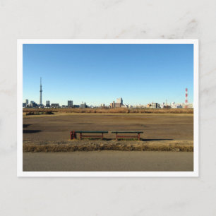 Carte Postale Le terrain de baseball : rive de la rivière Arakaw