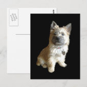 Carte Postale Le Terrier Cutest Jamais ! Plus mignon que Toto ! (Devant / Derrière)