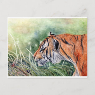 Carte Postale Le tigre dans la jungle