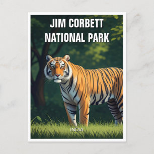 Carte Postale Le tigre dans le parc national Jim Corbett