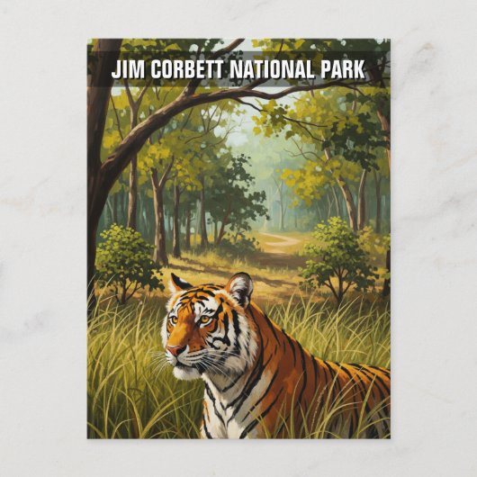 Carte Postale Le tigre dans le parc national Jim Corbett (Devant)