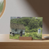 Carte Postale Le Time Machine Arrive