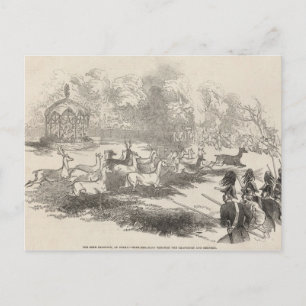 Carte Postale Le tir des cerfs à Gotha