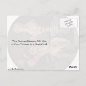 Carte Postale Le Tondo Sculpté D'Antoine Watteau (Dos)