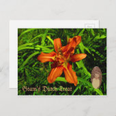 Carte Postale Le traitement hollandais de Gram (Devant / Derrière)