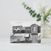 Carte Postale Le transit de Vénus (Debout devant)