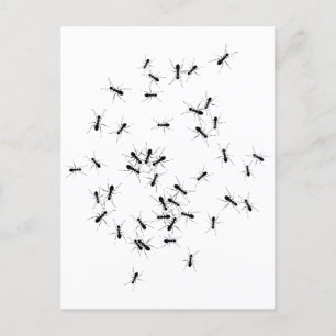 Carte Postale Le travail d'équipe fait fonctionner le rêve