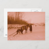 Carte Postale Le Travois (Devant / Derrière)