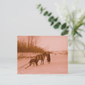 Carte Postale Le Travois (Debout devant)