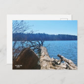 Carte Postale Le trésor caché de la Géorgie (Devant / Derrière)