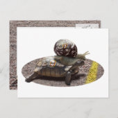 Carte Postale Le tricheur (Devant / Derrière)