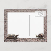 Carte Postale Le tricheur (Dos)