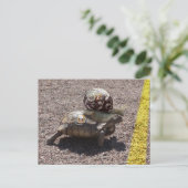 Carte Postale Le tricheur (Debout devant)