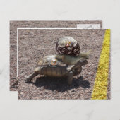 Carte Postale Le tricheur (Devant / Derrière)