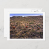 Carte Postale " Le Trifecta du matin " (Devant / Derrière)