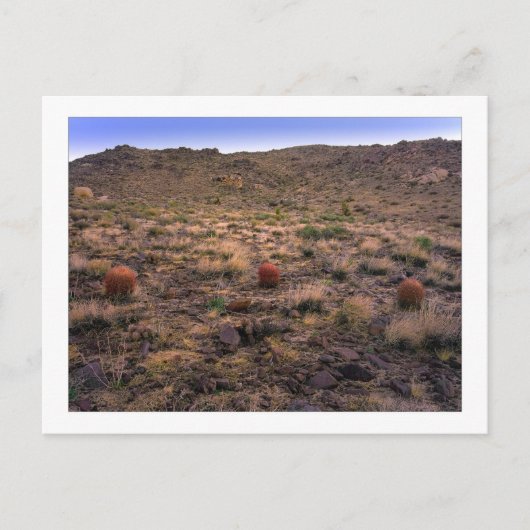 Carte Postale " Le Trifecta du matin " (Devant)