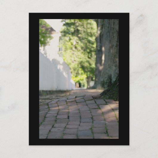 Carte Postale Le trottoir colonial (Devant)