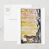 Carte Postale 'Le Tyger', plaque 36 (Bentley 42) (Devant / Derrière)